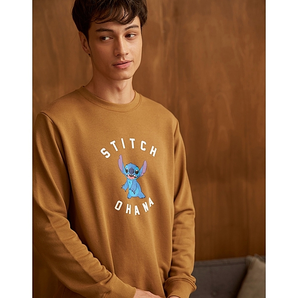 史迪奇大學TEE。