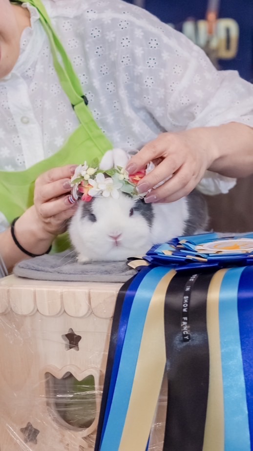Fuji Rabbitry for Sale ฟาร์มกระต่ายคุณภาพ มาตรฐานสากล