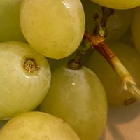 子供食堂を作る　横浜市中区