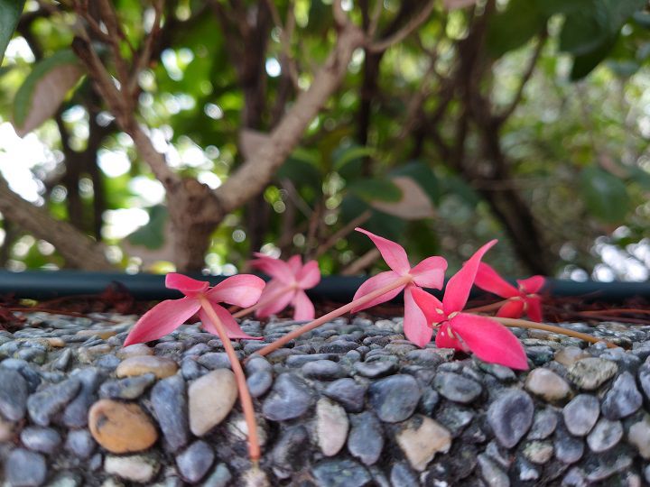 Sony Xperia 5 II 開箱，一手掌握輕旗艦、長續航力表現