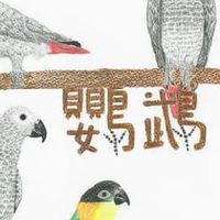 鸚鵡齊聚