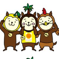 ゼロモバイル宮崎