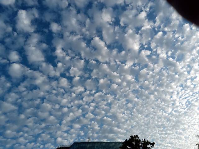 天空超美 滿滿棉花糖是 高積雲 鄭明典 變天前兆 華視新聞 Line Today