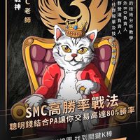 雙焰SMC進階班-交易分析陪跑群