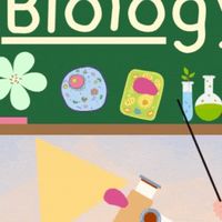 biology67🍀🌺🌽🫀🫁