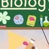 biology67🍀🌺🌽🫀🫁