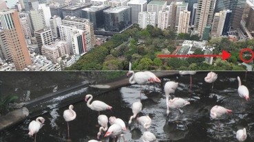 超強「拍妹神器」？！ 清楚得讓你可以看到月球表面