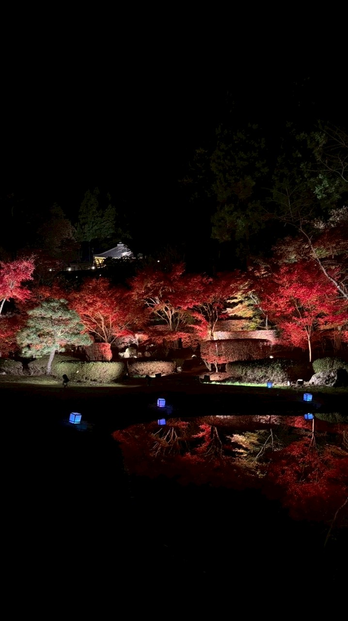 🐟🍶岩手県民交流憩いの場まんずねまれ🥃🍖