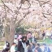 北區到場代客烤肉