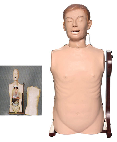 廠家直銷 高級鼻胃管與氣管護理模型H81，護理教學模型，護理培訓