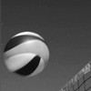 新手友善🏐🏐🏐