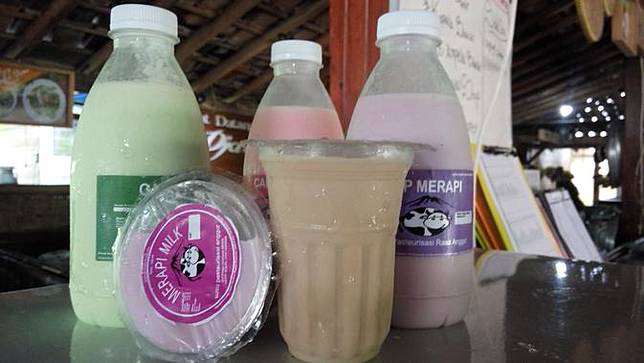 Peternak Sapi Perah Di Sleman Ramai Ramai Alih Profesi Kenapa