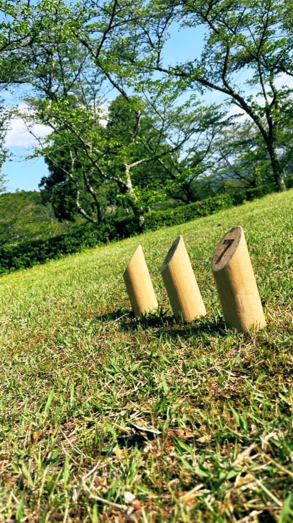 第5回モルック津和野大会