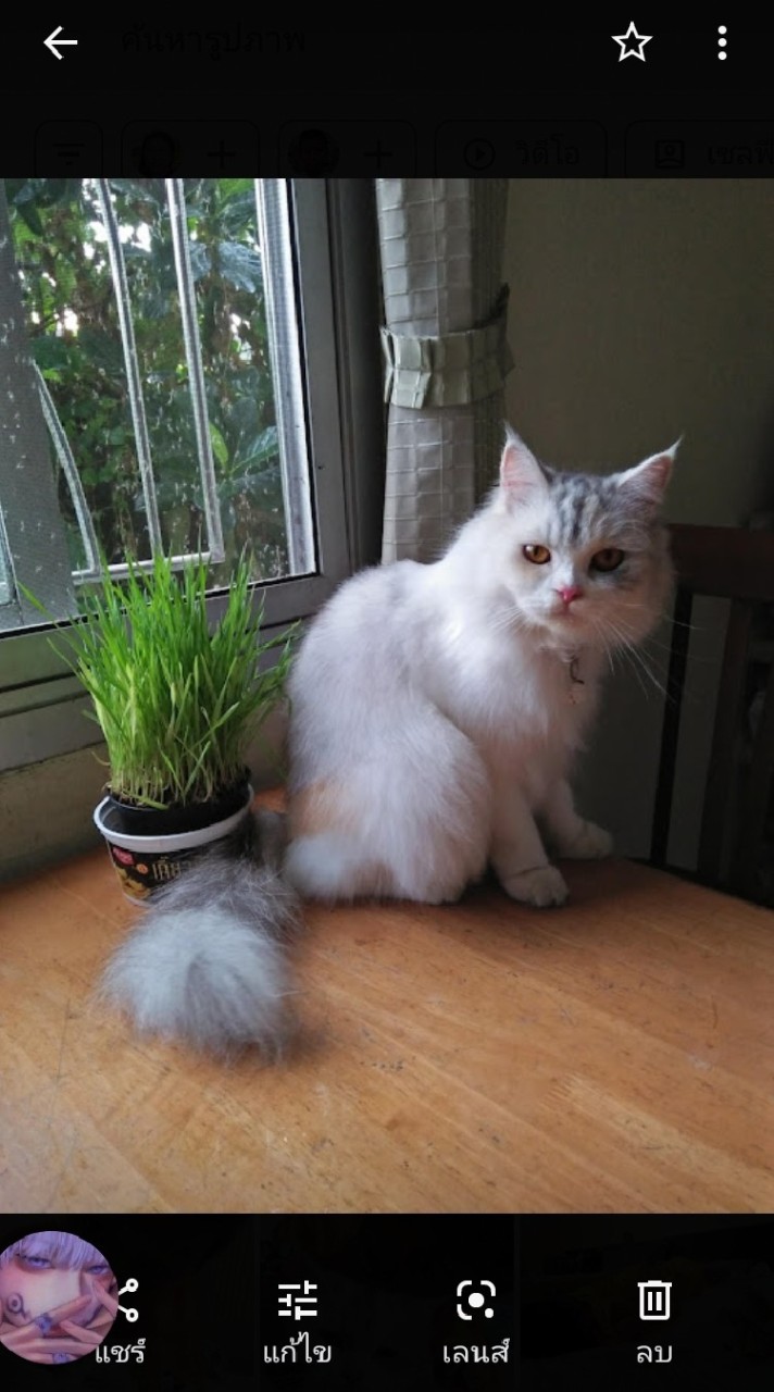 🌈ชอบวาดรูปไหมอ่ะ🌈