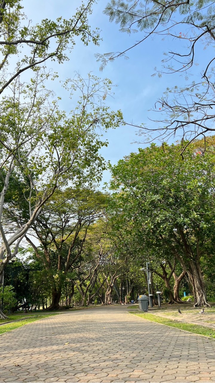 สายรหัส4/2