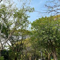 สายรหัส4/2