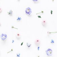 女子新中学生2年生限定🌷雑談部屋