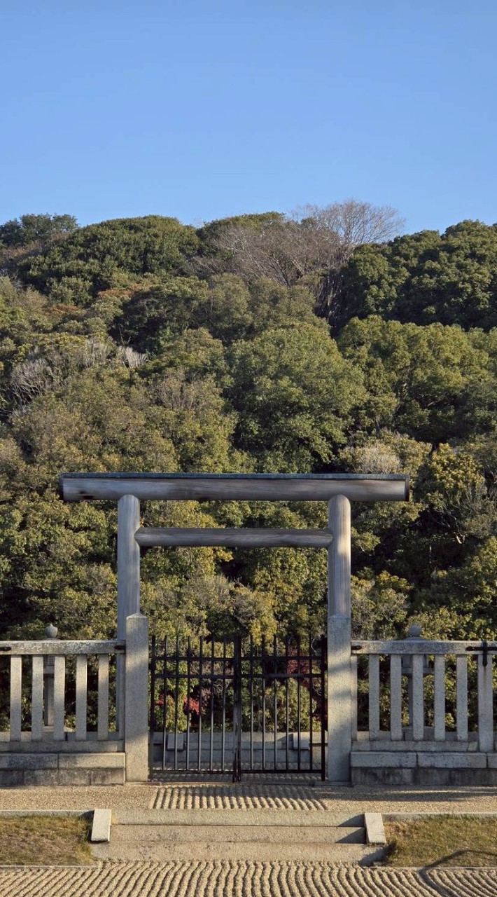 ニコニコ神社⛩️チャンネル⛩️