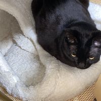 エンタメ業界オプチャ（27卒以降）