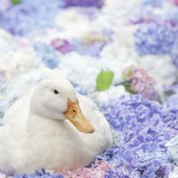 ご新規様大募集✨関東30歳以上の暇つぶし♡ランチ茨城千葉