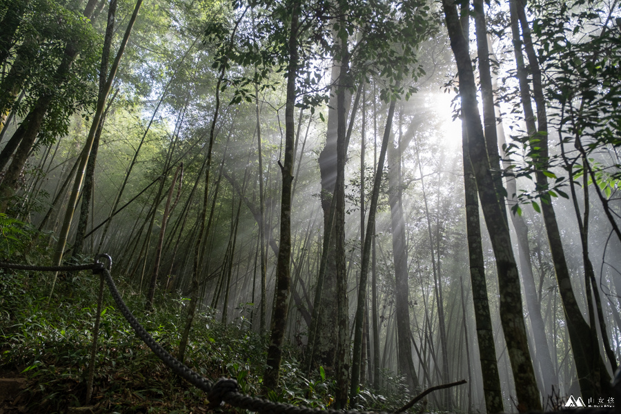 山女孩MelissaxMao冒險生活_水社大山_日月潭登山_路線分享-17.JPG