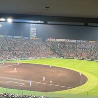 日本職棒周邊，New Era專業代購
