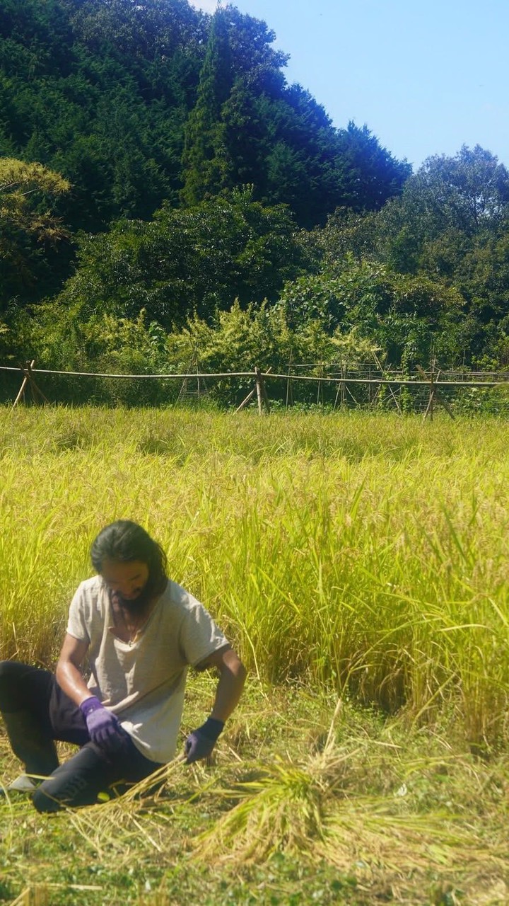 やおよろずの大地創造プロジェクト