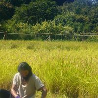 やおよろずの大地創造プロジェクト