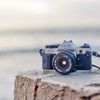 なんでも写真部📸