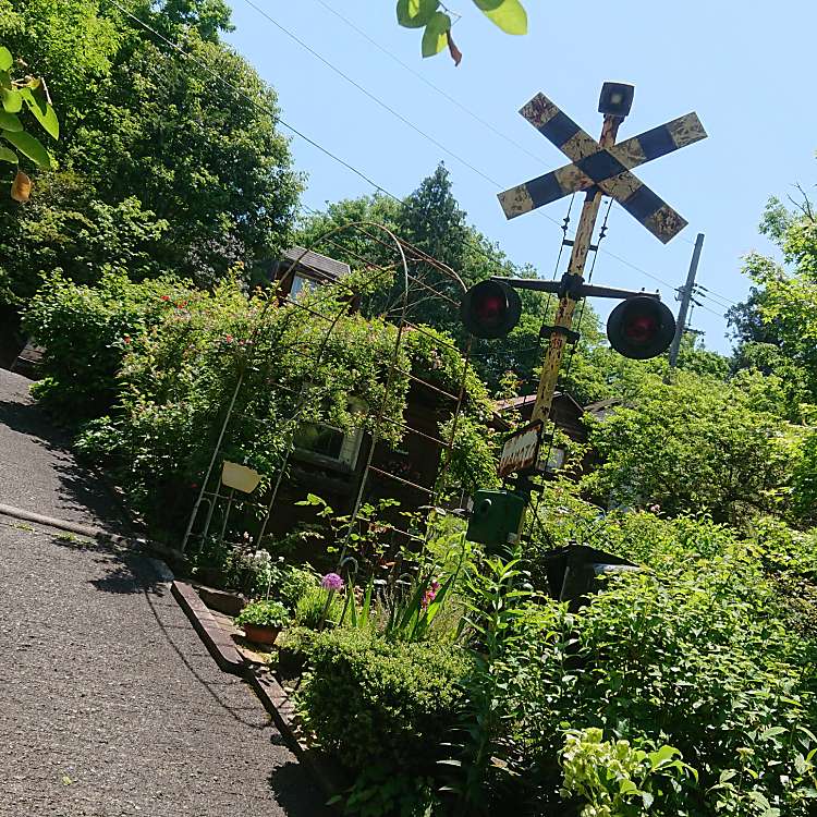 写真 ツリートランク Tree Trunk 堀坂 美作滝尾駅 カフェ By Line Place