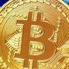 陳碩 BTC 專業量化交易策略分析