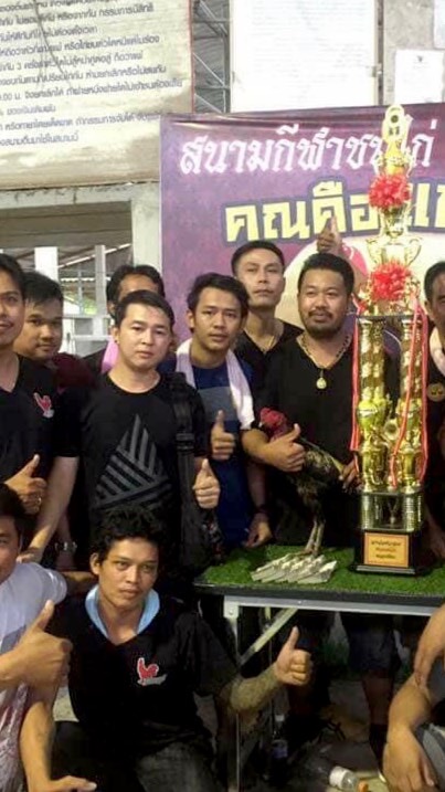 ขายไก่ชนโอเว่นจันทบุรี