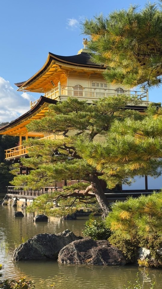 知識・つながる・未来へＳ❤️‍🔥