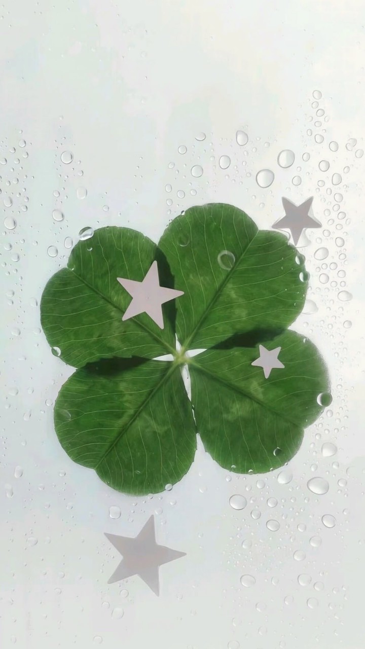 GREEN !☘️