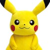 Pokemon PLUS