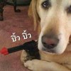 เเจกรูป/คริป Rov ทำโทน!