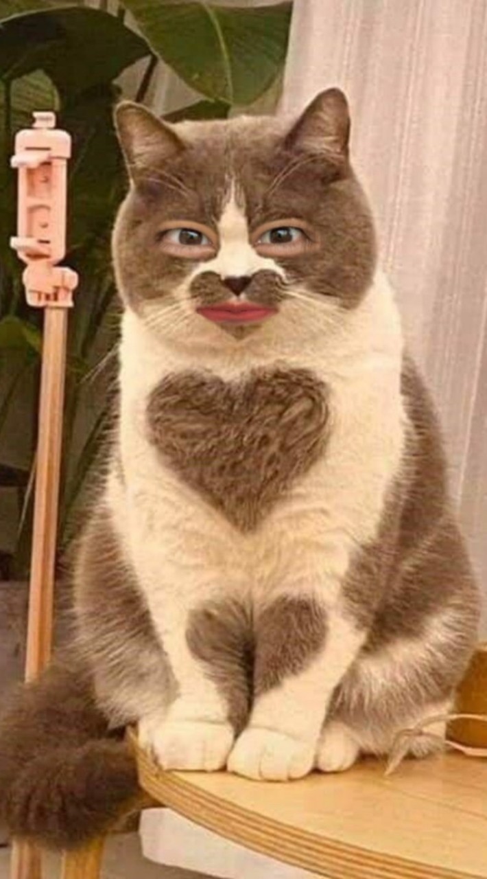 คุยเล่น