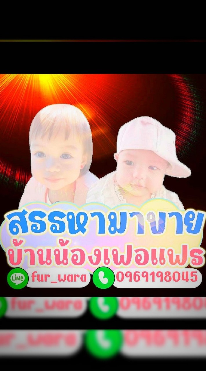 ✅ สรรหามาขาย 👩🏻‍❤️‍👩🏻 บ้านน้องเฟอแฟร 👭🏻❤️