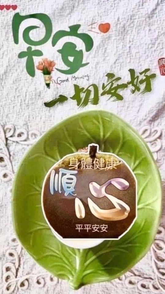 我的