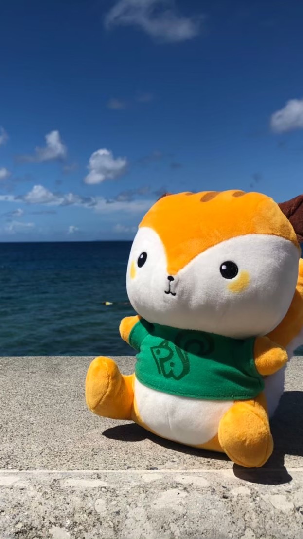 🐠RSDC新入生グループ🐠のオープンチャット