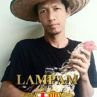 กีฬาวัยรุ่น ไก่ชนสะพานสูง