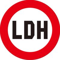 LDH.fan 🌐