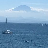 葉山ホビー倶楽部