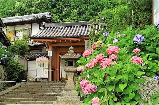 紫陽花開 漫步日本各地遇見初夏好風光 All About Japan Line Today