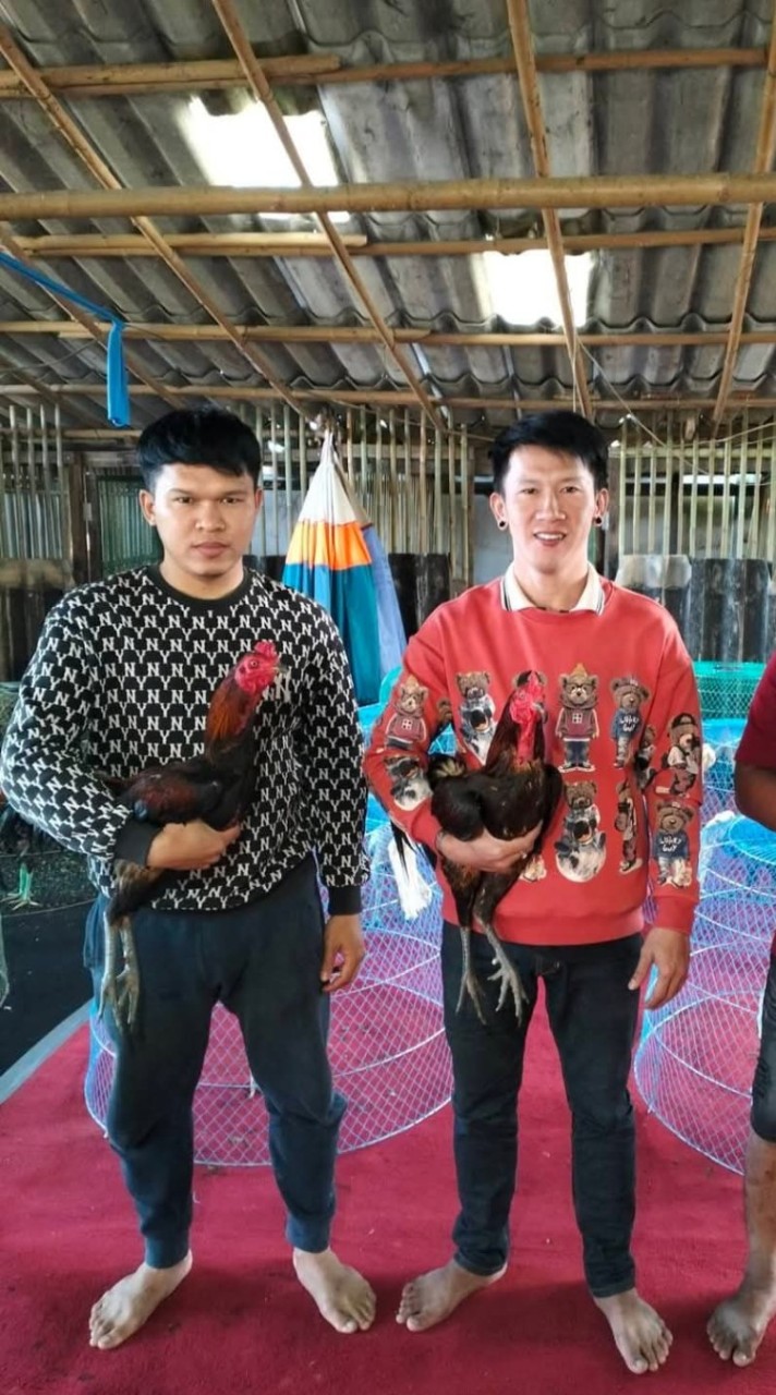 ซุ้มกเกื้อกูลสายเลือดเจ้าฮาแลน