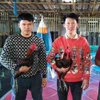 ซุ้มกเกื้อกูลสายเลือดเจ้าฮาแลน