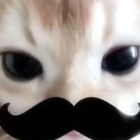 คบหญิง-คบทอม หาเพื่อนคุย