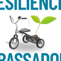Resilience Ambassadors 3