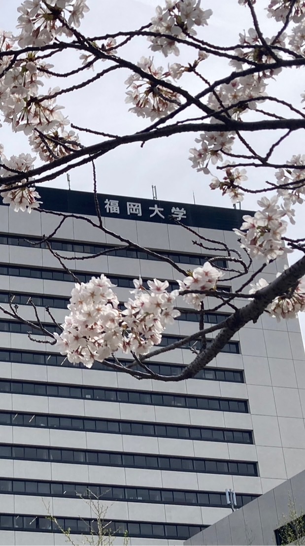 LC開田ゼミ2024