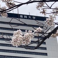 LC開田ゼミ2024